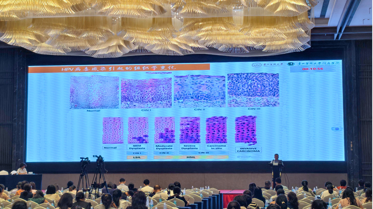 PG电子(平台官网)股份有限公司